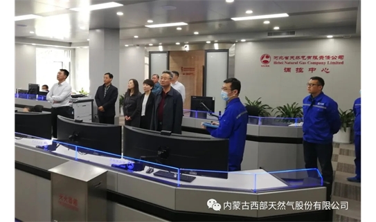 陈子峰一行赴新天绿色能源股份有限公司开展调研交流