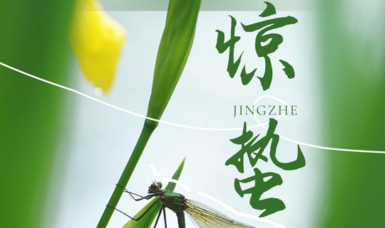 【今日惊蛰】春雷响，万物长，又是一年好春光
