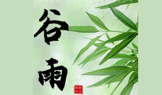 【今日谷雨】雨落生百谷 万物皆可期